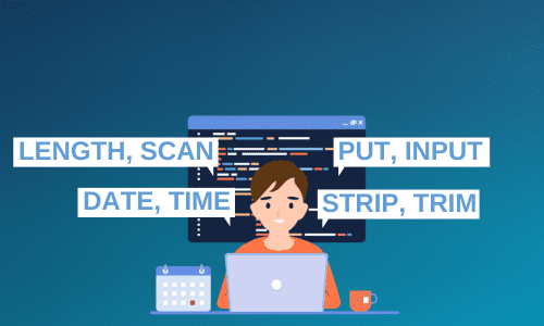 Understanding the commonly used SAS Functions